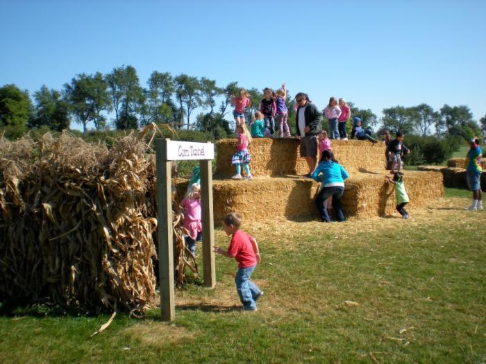 Currans orchard