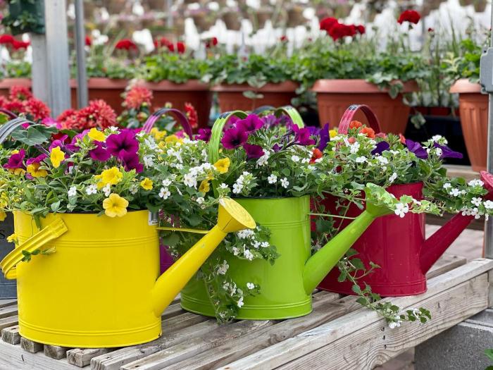 Village Green potted plants