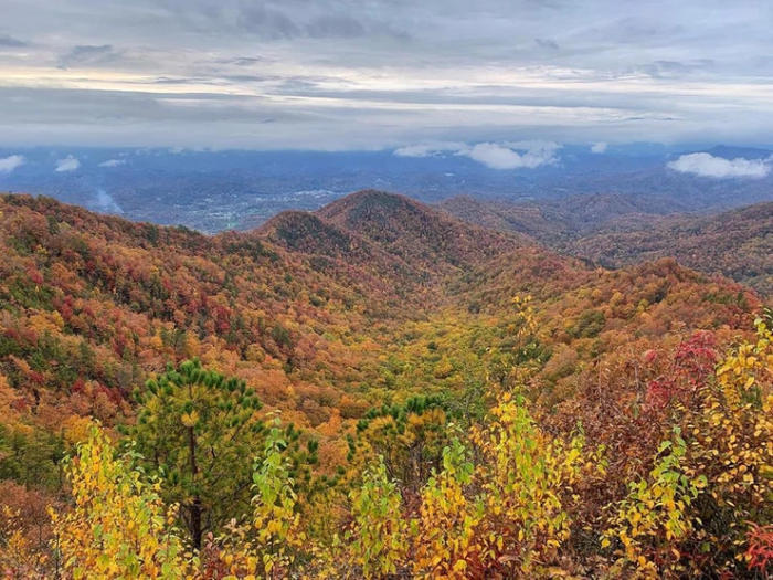 Lonesome Pine Overlook