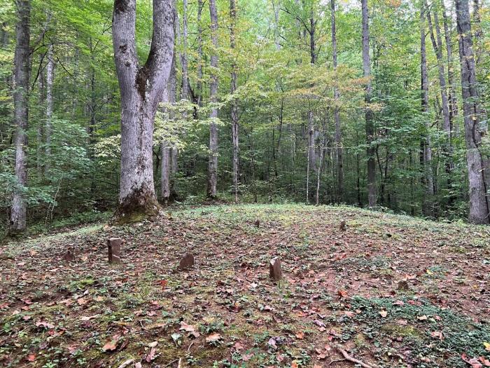 McGee Cemetery