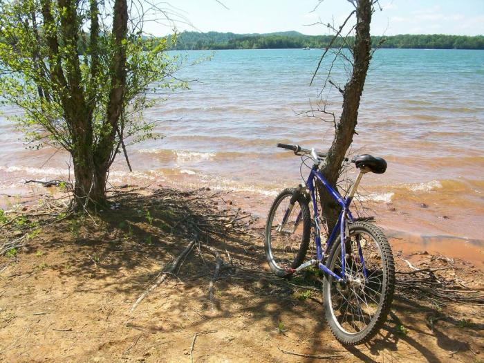 Jackrabbit Mountain Bike Trail Lake Chatuge