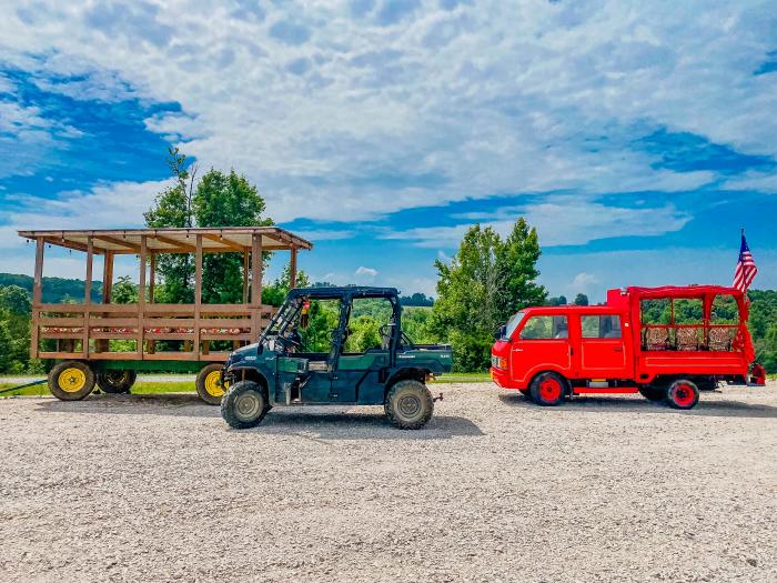 Bison Buggies