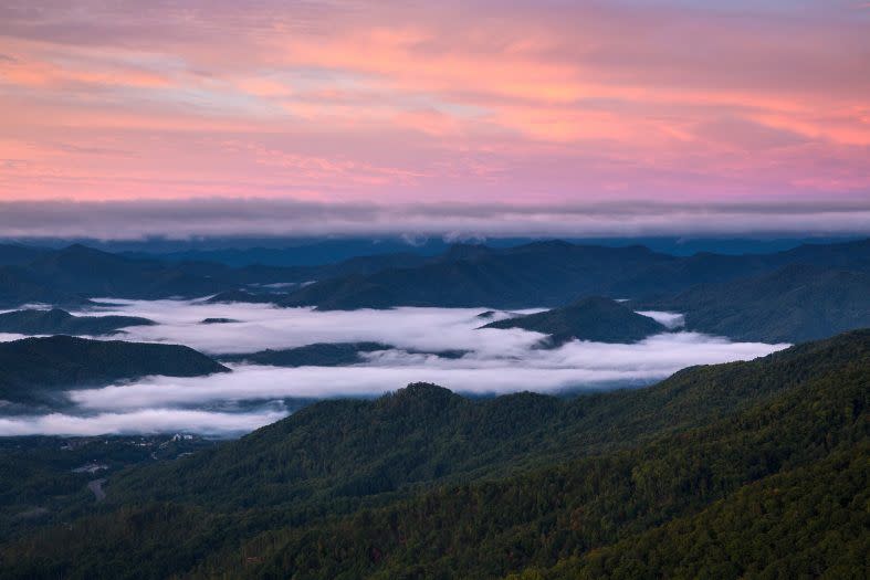 Pinnacle_Park_Nick_Breedlove_033w_787x525_5a4659bd-fbbf-45ec-82fe-189b47ce97dc