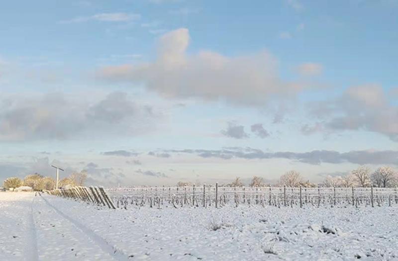 Vivace Estate Winery in Winter 610 by 400