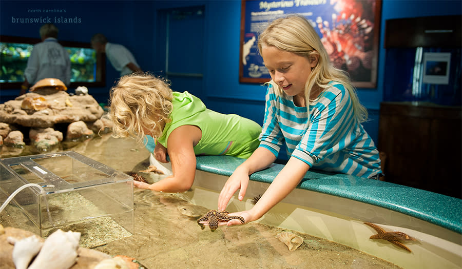 two young children touching sea creatures in a touch tank at the Museum of Coastal Carolina on Ocean Isle Beach