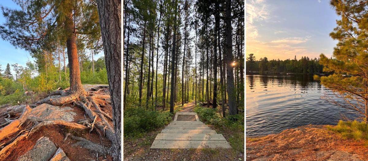 Blog - Frontcountry Camping With Kids