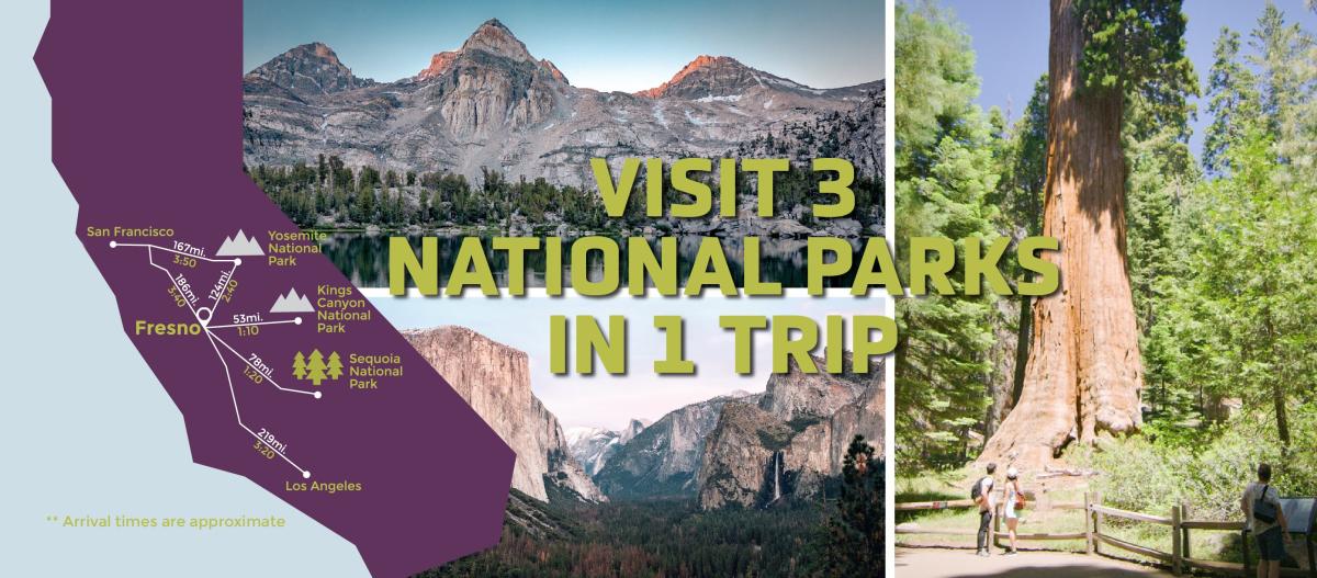 visit 3 in 1 trip