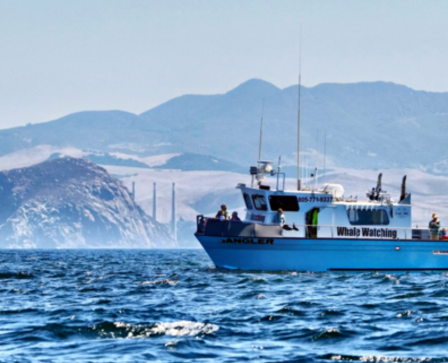 Whale watch