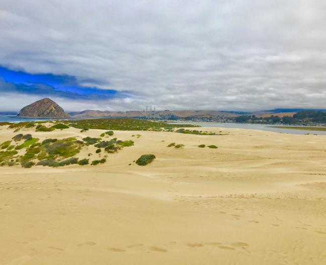 Sandspit dunes