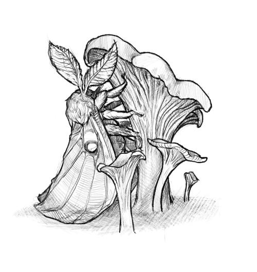 Sketch of the Winterfest 2026 snow sculpture for Team MN 1.