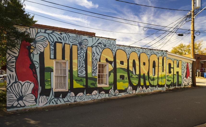 'Hillsborough' Mural by Richard Nickel depicts natural beauty with a nod to dogwoods and cardinals