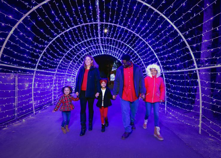 Christmas Light Show Santa's Village