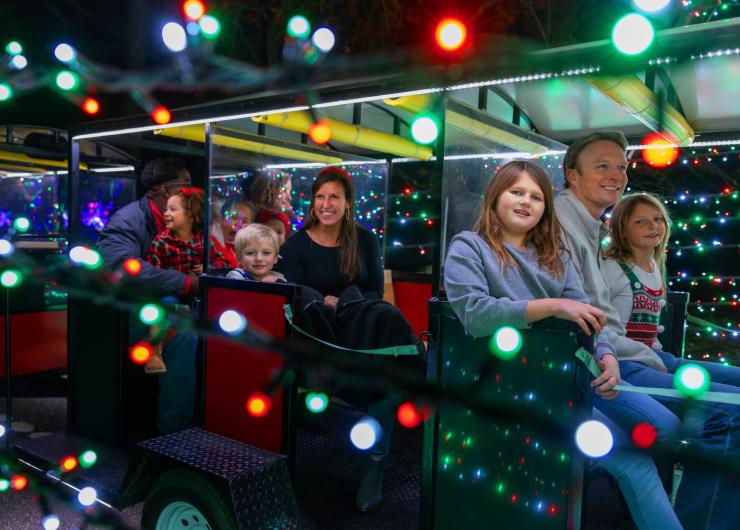 Families enjoy a train ride through the lights at the Great Christmas Light Show