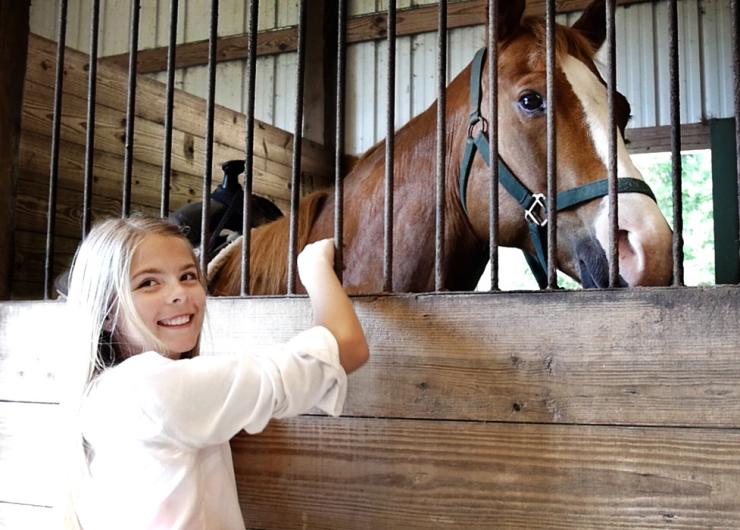 Horse Petting