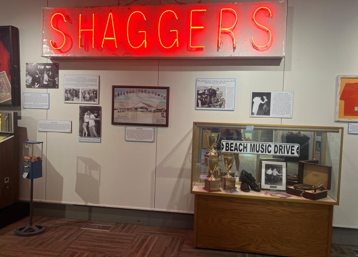 NMB Museum Neon Shag Sign