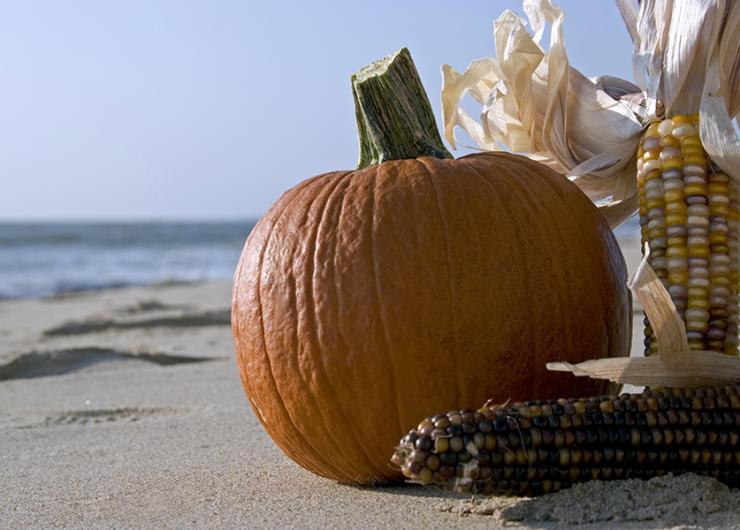 A pumpkin and corn for Thanksgiving at the beach