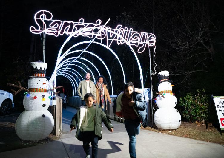 North Myrtle Beach Christmas Drive Through Lights Park 2022 The Great Christmas Light Show In North Myrtle Beach