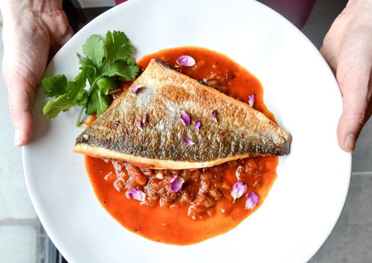 Big Chill Salmon
