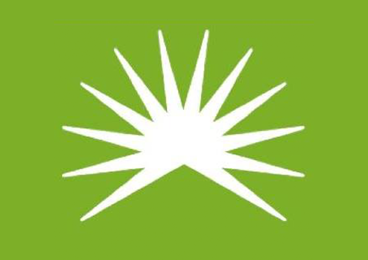 Cape Fear Solar