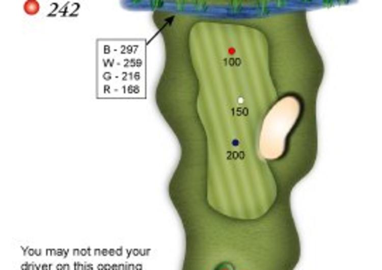Golf Crown 2