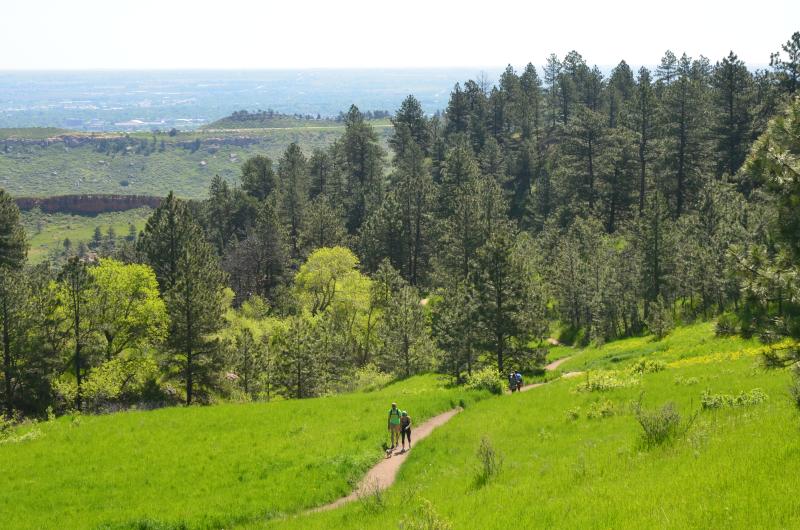 Lory State Park in Summer