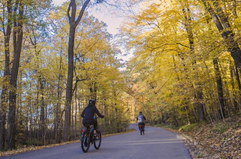 Snake Road Fall Bicycle