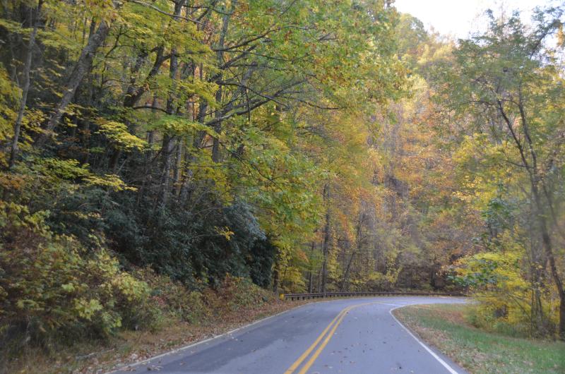 Curvy Road