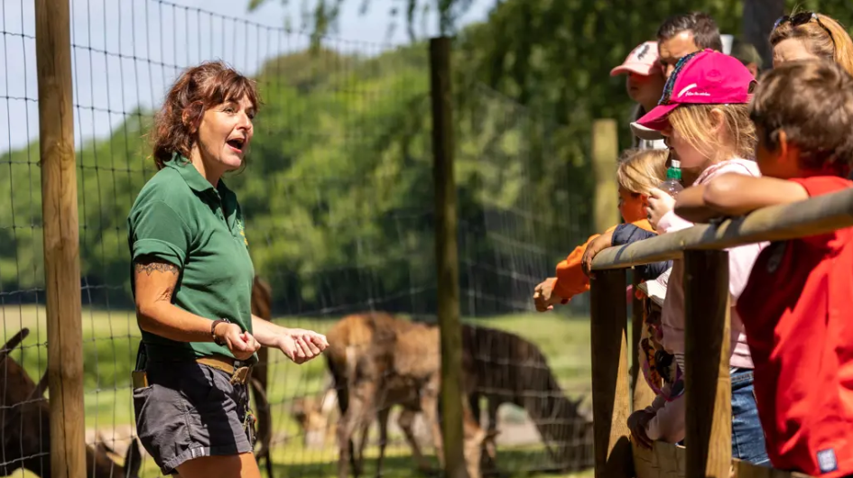 Showing at New Forest Wildlife Park