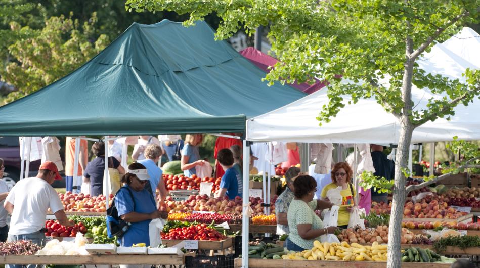 tents at a farmers market, there are people shopping, under the tents are shoppers and colorful fruits and vegetables