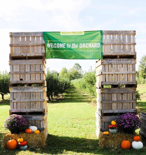 Entrance to Scott’s Orchard framed by stacked wooden apple crates, with pumpkins, hay bales and fall flowers leading into rows of apple trees.