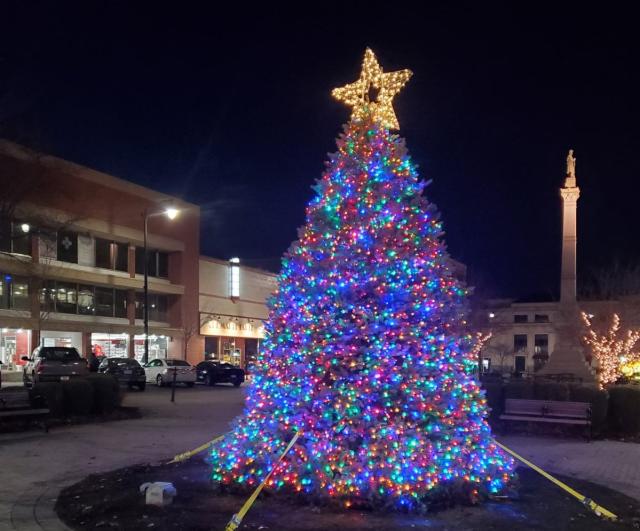 Downtown Racine Tree