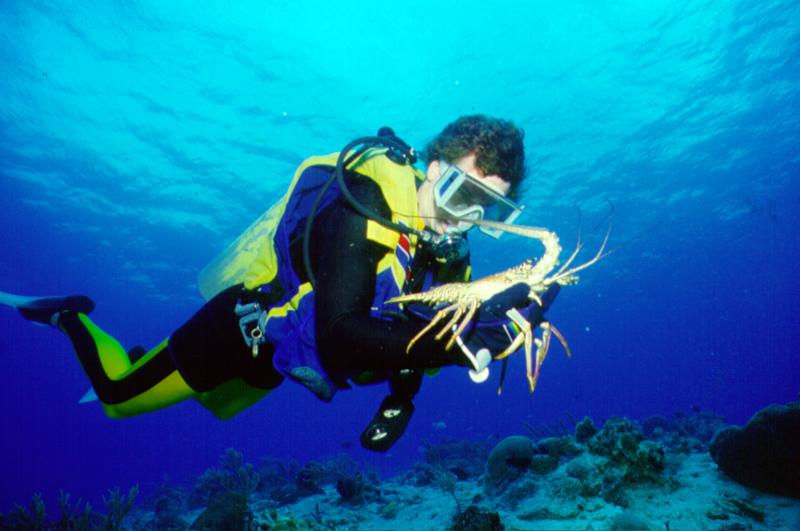 Man Scuba Diving and Holding Lobster In Greater Fort Lauderdale