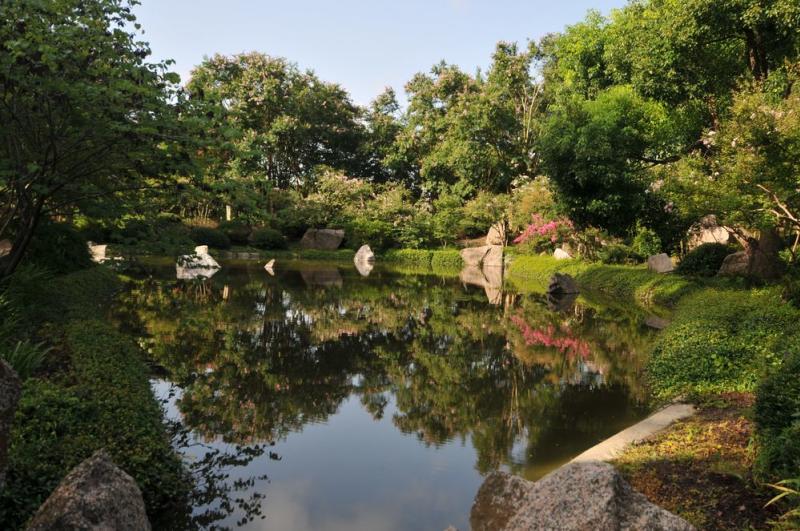 Japanese Garden