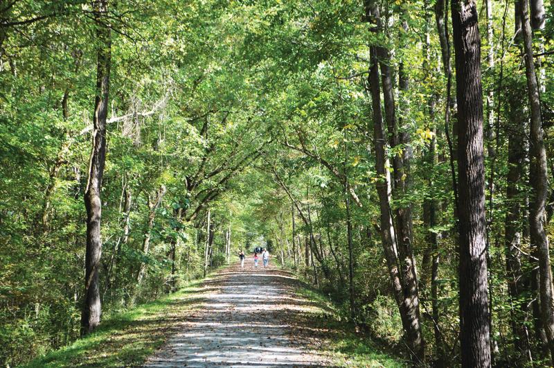 Deep River State Trail - Franklinville Walkers