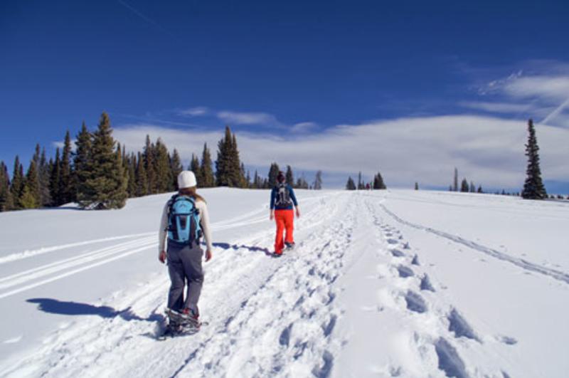 Snowshoeing Steamboat Springs