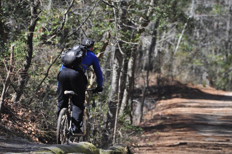 person biking through trails in First Landing State Park