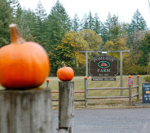 Pomeroy Farm Pumpkin Lane