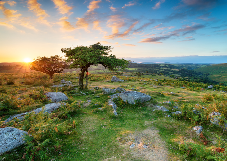 dartmoor blog