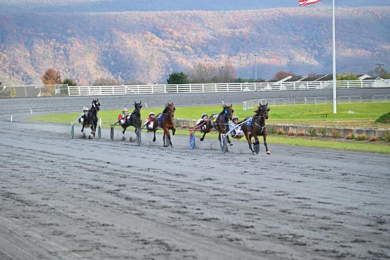 Shenandoah Downs