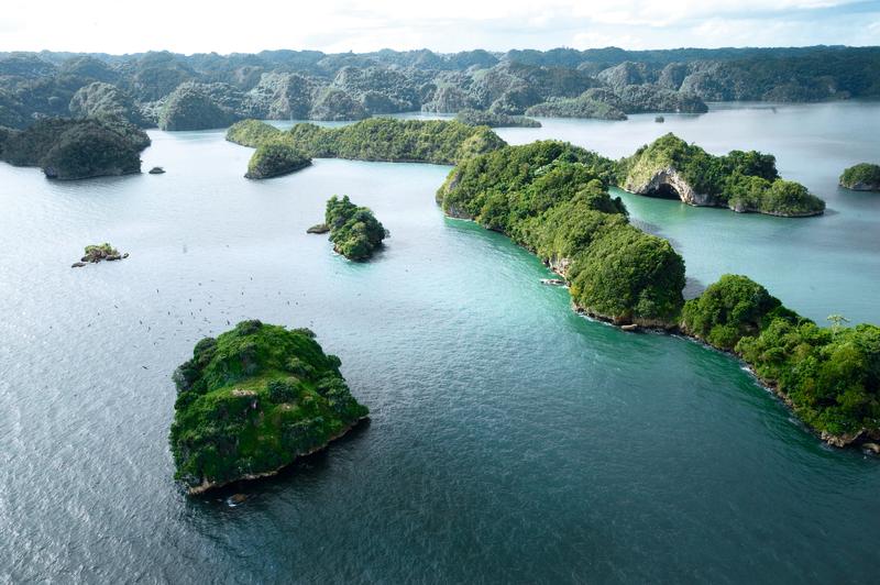 Isla de los pajaros - Haitises