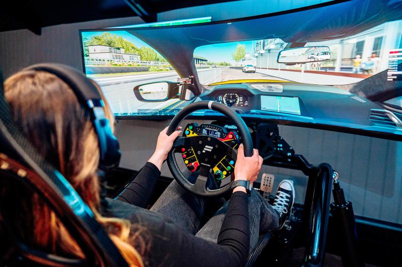 A picture showing a person in a race simulator