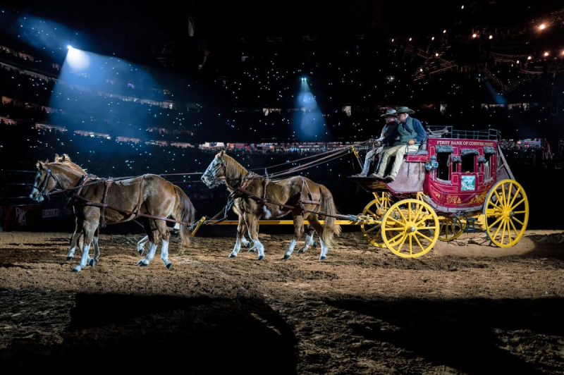 Rodeo