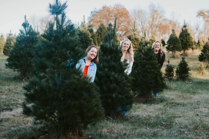 Sycamore Valley Tree Farm, Evansville