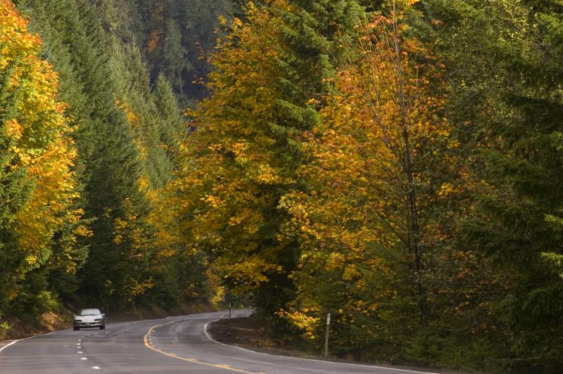 Fall Foliage on Highway 36 by Jamie Hooper Fall Foliage on Highway 36 by Jamie Hooper