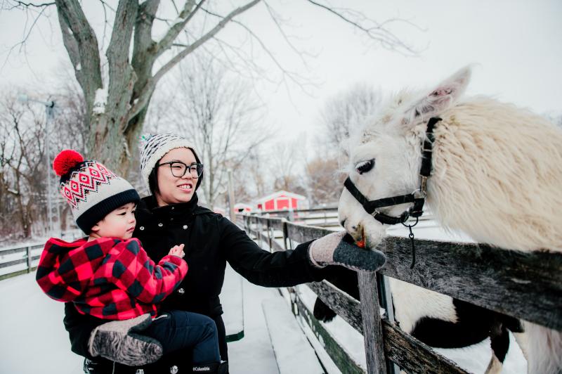 family interacting with llama