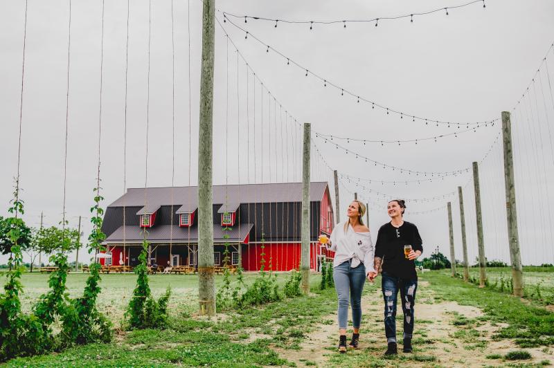 Two women walk hand in hand through a hop field, each holding a glass of beer, smiling and enjoying the moment.