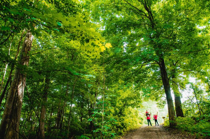 Family on Trail hiking