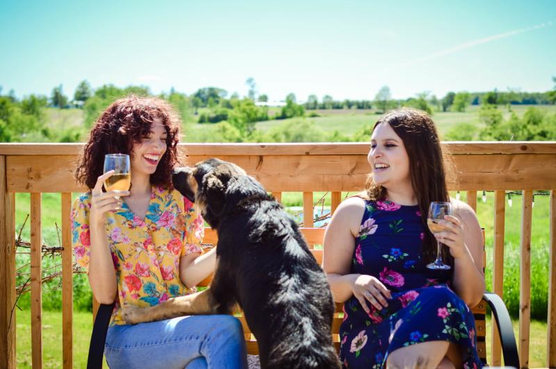 Dog friendly winery