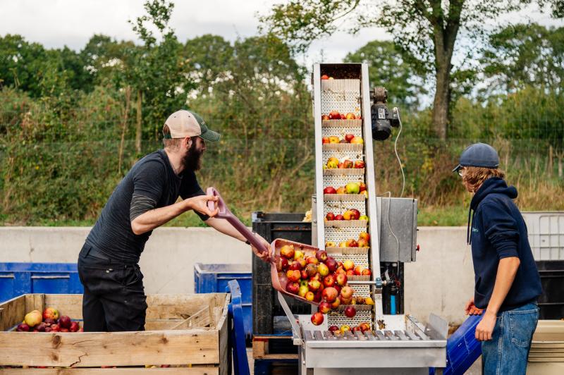 Two people producing cider at Trenchmore Farm in West Sussex