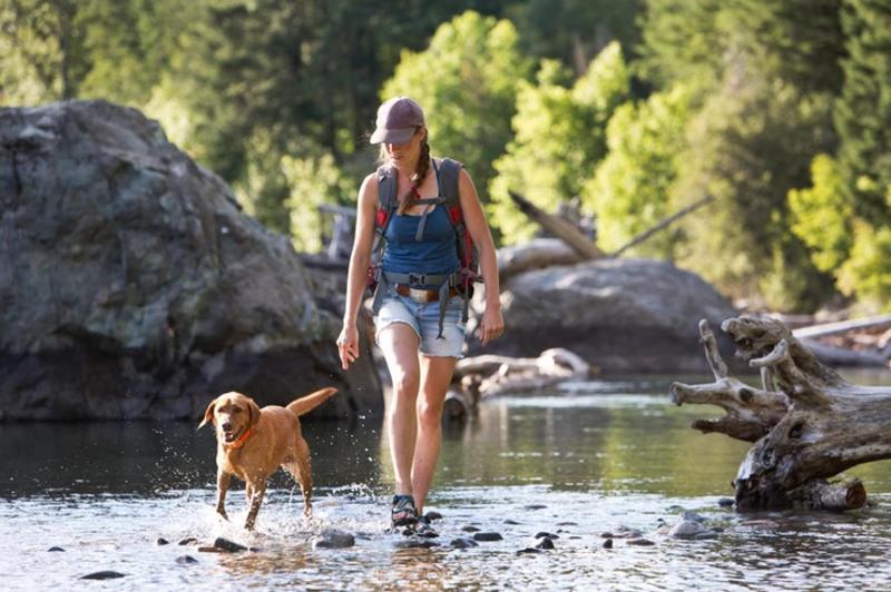 Pet Friendly Hiking Trails